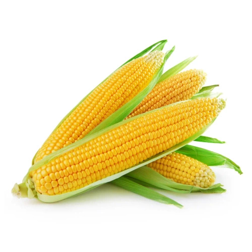 Kukurydza gotowana ekologiczna (0,4 kg) (EKO)