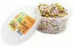 Ekologiczne kiełki rzodkiewki (50 g) (EKO)