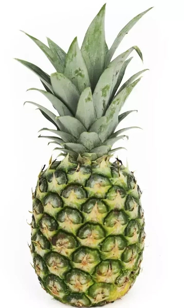 ANANAS ekologiczny (0,80 kg) - BIO