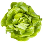 Ekologiczna sałata masłowa polska (1 sztuka ok. 120 g) (EKO)
