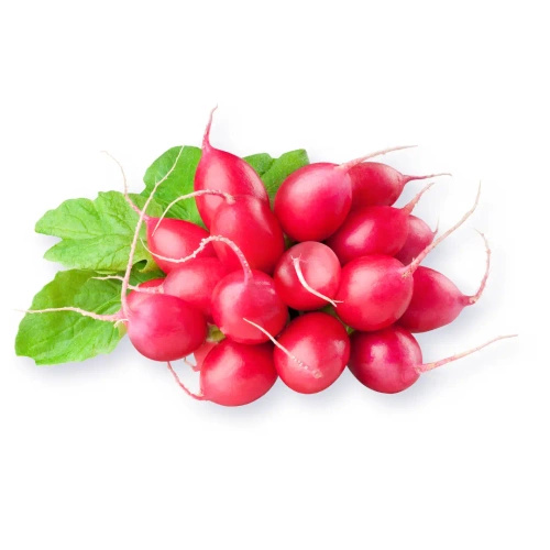 Ekologiczne rzodkiewki (0,2 kg) (EKO)