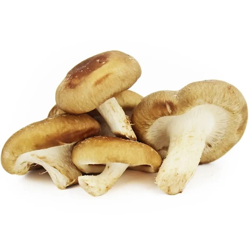 Ekologiczne grzyby shiitake świeże (ok. 0,2 kg) (EKO)