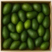 Ekologiczne awokado (karton ok. 40 szt) (EKO)