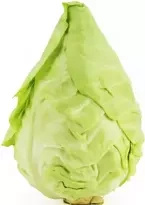 Ekologiczna kapusta szpiczasta (ok. 0,60 kg) (EKO)