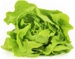 Ekologiczna sałata masłowa polska (ok. 0,12 kg) (EKO)