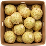 Ekologiczny seler korzeń (karton ok. 5 kg) (EKO)