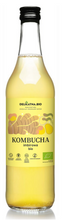 Kombucha imbirowa 500 ml - Delikatna (BIO)