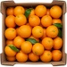 Ekologiczne pomarańcze (karton ok. 10 kg) (EKO)