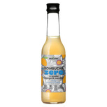 Kombucha mango i marakuja zero % cukru 270 ml - Delikatna