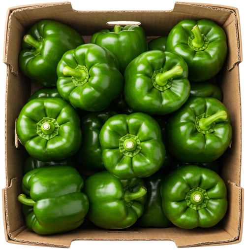 Ekologiczna papryka zielona (karton ok. 5 kg) (EKO)