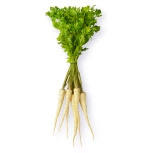 Ekologiczna pietruszka z nacią polska (0,3 kg) (EKO)