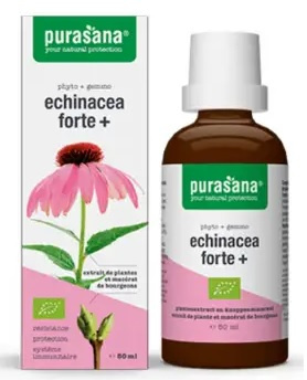 Jeżówka purpurowa echinacea forte krople 50 ml - Purasana (EKO)