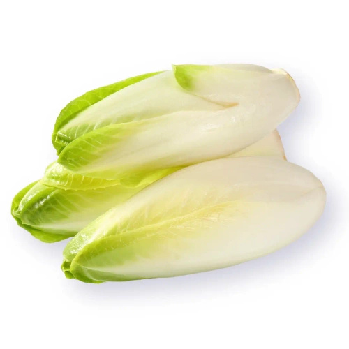 Cykoria ekologiczna (0,5 kg) (EKO)