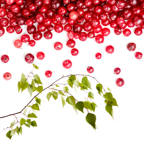 Sok z brzozy z żurawiną 750 ml - Naturavena