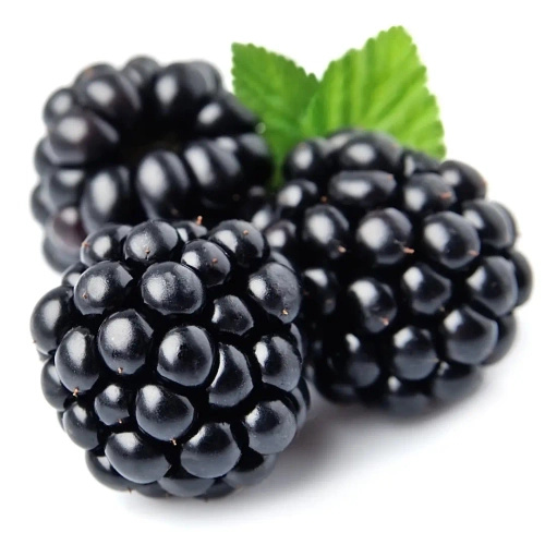 Konfitura z leśnych jeżyn 320 g - Krokus