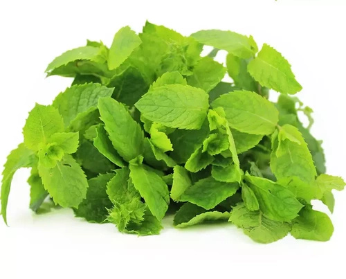 Ekologiczna mięta polska (0,05 kg) (EKO)