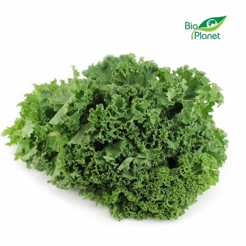 Ekologiczny jarmuż świeży (tacka ok. 250 g) (EKO)