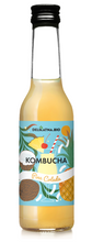 Kombucha koktajlowa pina colada 270 ml - Delikatna (BIO)