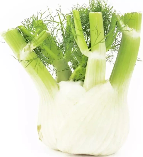 Ekologiczny koper włoski fenkuł (ok. 0,35 kg) (EKO)