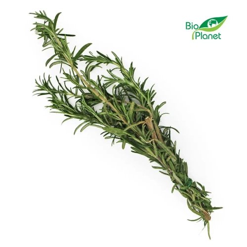 Ekologiczny rozmaryn świeży (pęczek ok. 50 g) (EKO)