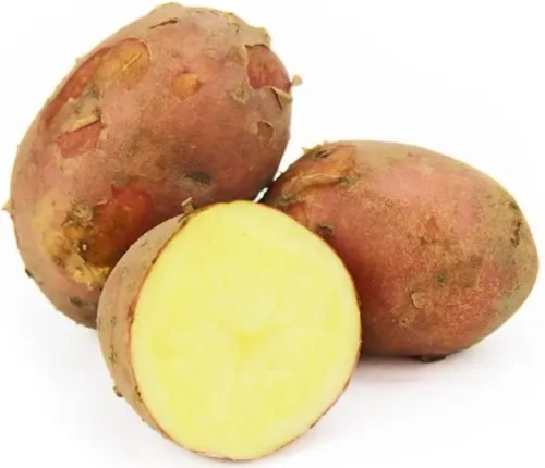 Ekologiczne ziemniaki czerwone polskie (worek ok. 10 kg) (EKO)