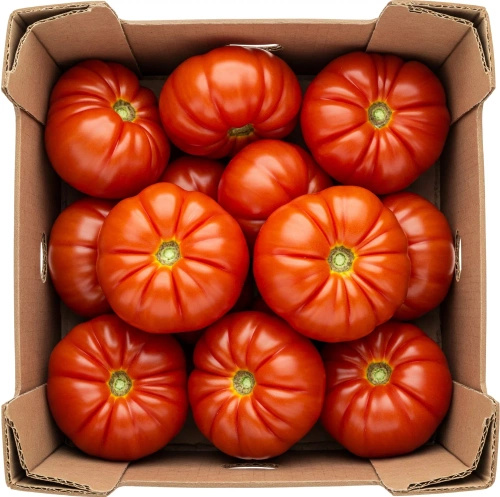 Ekologiczne pomidory rebellion (karton ok. 3 kg) (EKO)