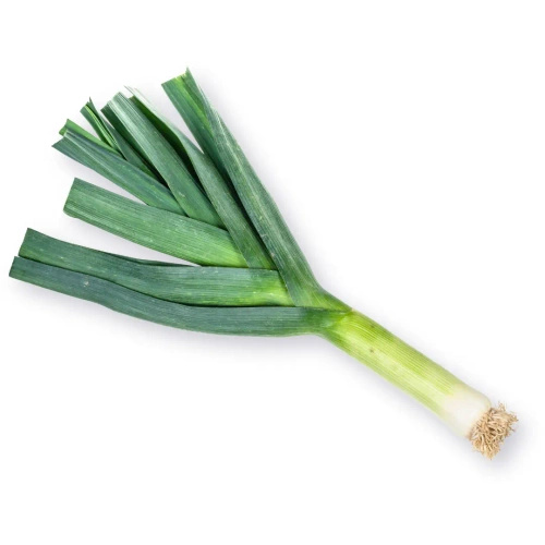 Ekologiczny por polski (1 sztuka 0,55 kg) (EKO)