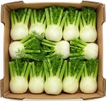 Ekologiczny koper włoski fenkuł (karton ok. 7 kg) (EKO)