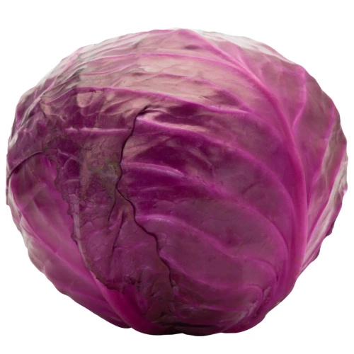 Ekologiczna kapusta czerwona polska (ok.1,5 kg) (EKO)