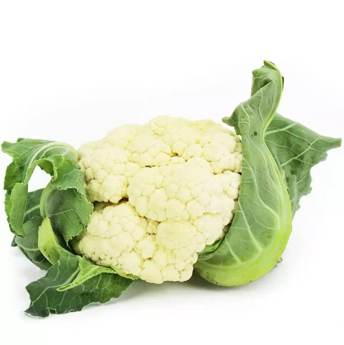 Ekologiczny kalafior polski (0,6 kg) (EKO)