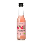 Kombucha żurawinowa 270 ml - Delikatna (BIO)