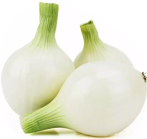 Cebula młoda ekologiczna polska (1 kg) (EKO)