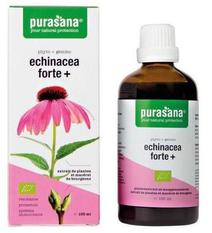Jeżówka purpurowa echinacea forte krople 100 ml - Purasana (EKO)