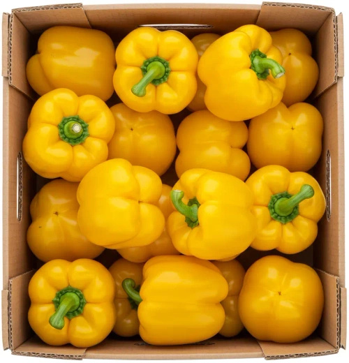 Ekologiczna papryka żółta (karton ok. 5 kg) (EKO)