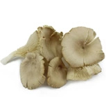 Ekologiczne boczniaki grzyby świeże (ok. 0,2 kg) (EKO)