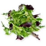 Mix sałat ekologiczny (0,1 kg) (EKO)