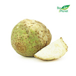 Ekologiczny seler korzeń (ok. 10 kg) (EKO)