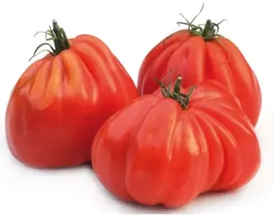 Ekologiczne Pomidory Bawole Serce